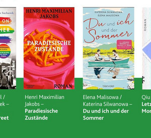 Zusammenstellung der Buchcover, der vier Bücher, die in diesem Jahr bei Queergelesen besprochen werden. Darüber der Titel der Veranstaltung "Que(e)rgelesen 2024"