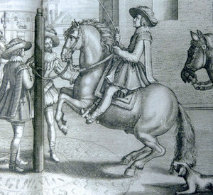 Reiter auf Pferd