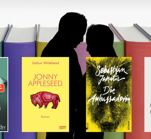 Titelbilder der vorgestellten Bücher vor Regenbogenbüchern