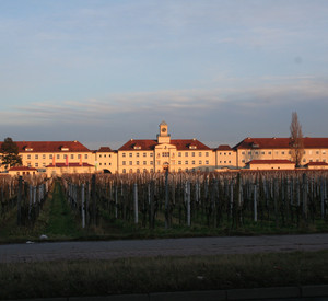 Karsene im Sonnenlicht