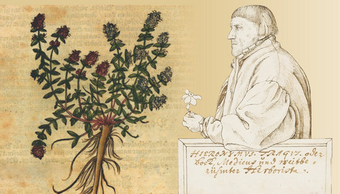 Ein Kräuterbuchautor im 16. Jahrhundert - Ausstellung des LBZ / Bibliotheca Bipontina eröffnet am 4. Juni, 19 Uhr