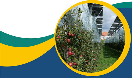 Vortrag im LBZ Speyer am 23. April, 18 Uhr: „Agri-Photovoltaik: Obstbau in neuem Licht“