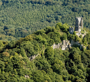 Burg Drachenfels von Westen, 2016