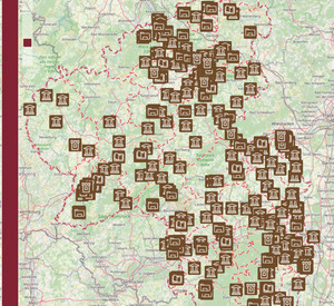 Karte Rheinland-Pfalz mit eingetragenen Punkten, wo sich Einrichtungen befinden, welche Kulturgüter bewahren