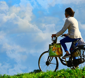 Person auf einem Fahrrad