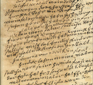 Auzug auf Handschrift "Tagebuch des Johann Maas"