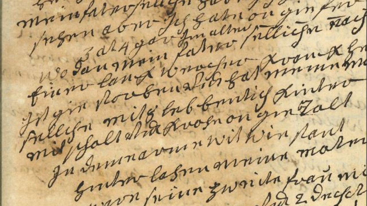 Auzug auf Handschrift "Tagebuch des Johann Maas"